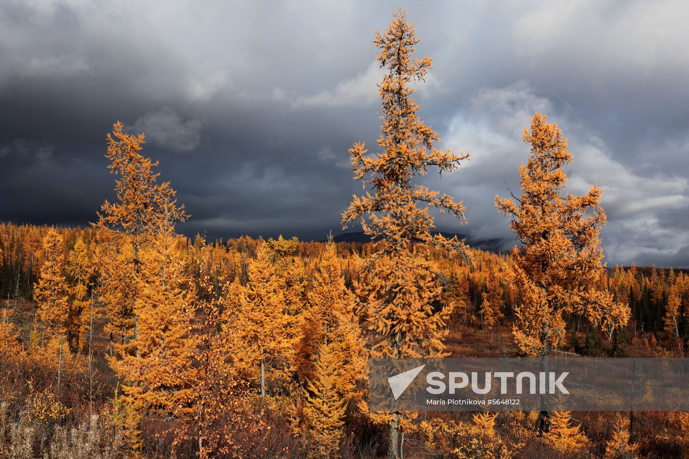 Russia Polar Urals