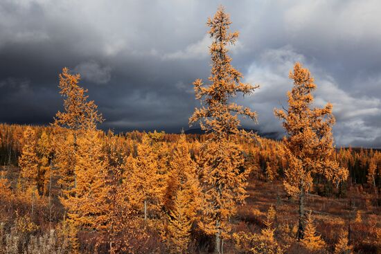 Russia Polar Urals