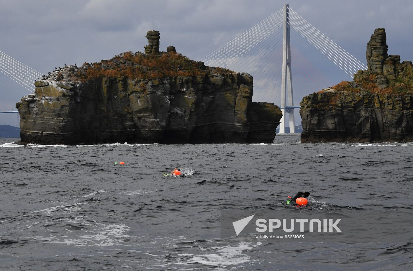 Russia Mass Swimming