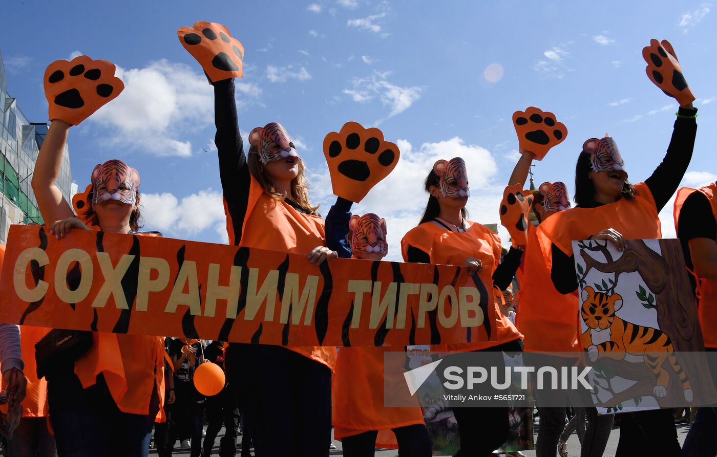 Russia Tiger Day