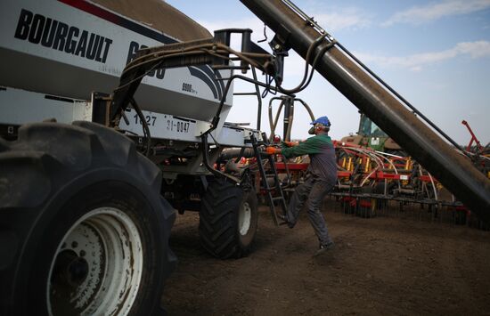 Russia Winter Sowing