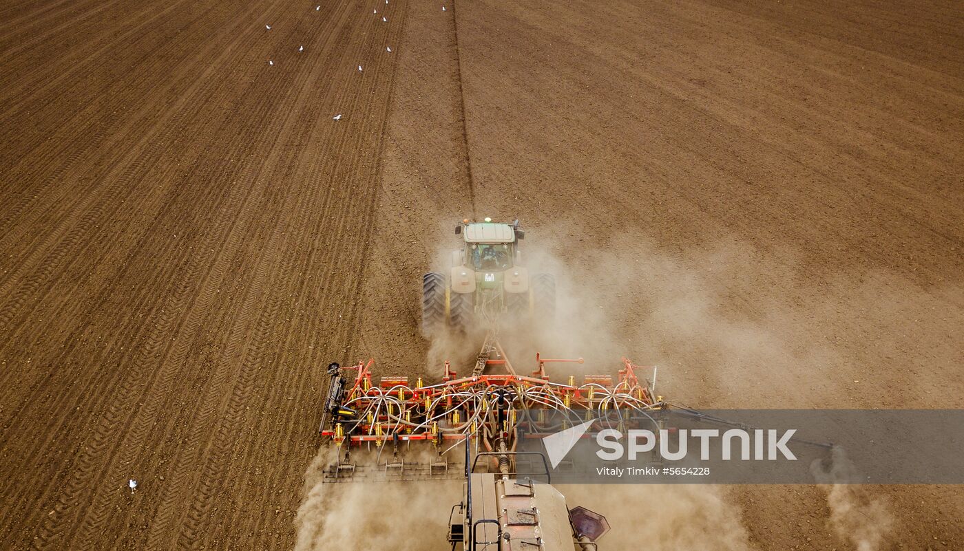 Russia Winter Sowing