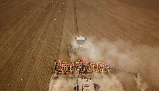 Russia Winter Sowing