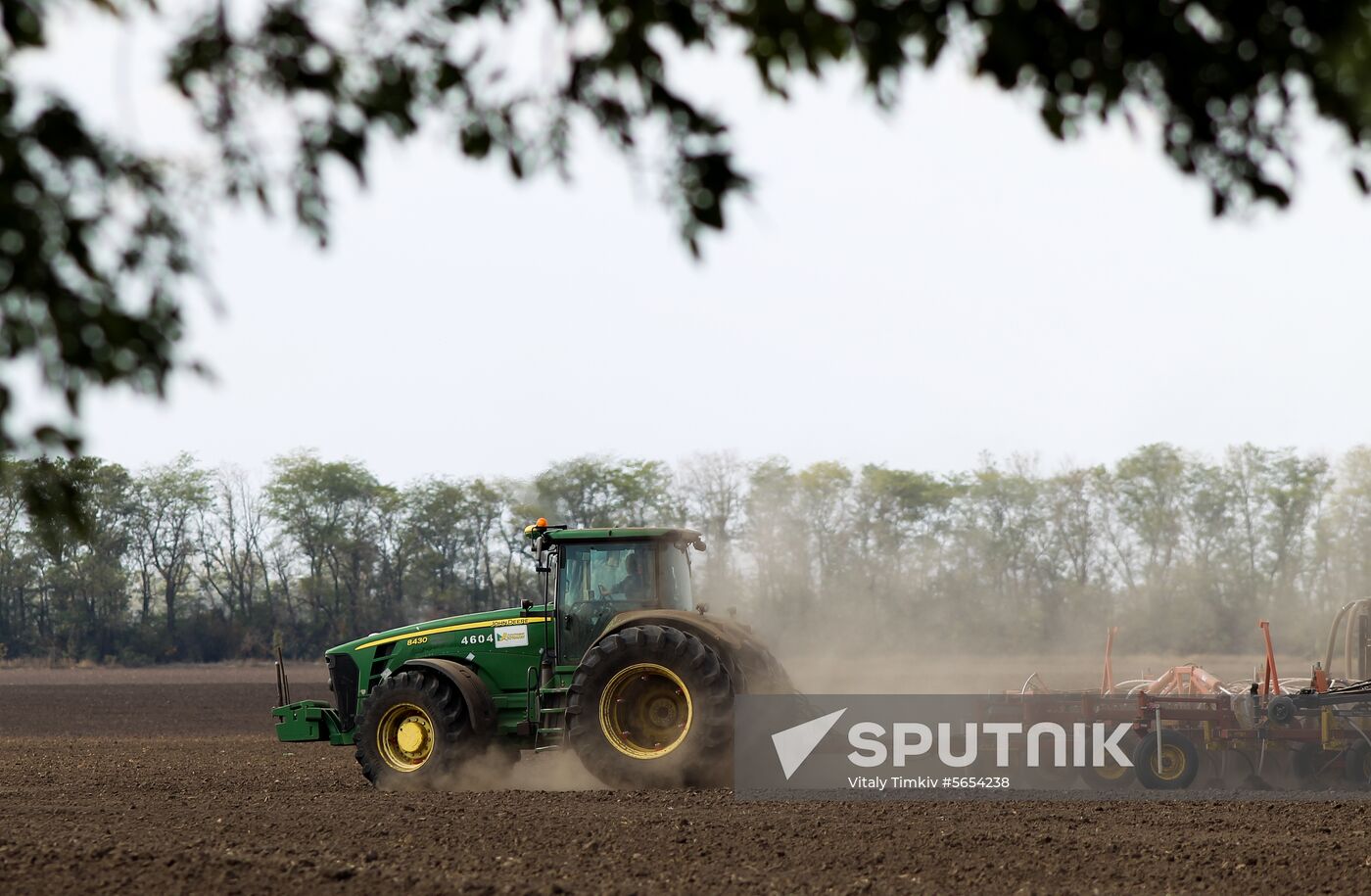 Russia Winter Sowing