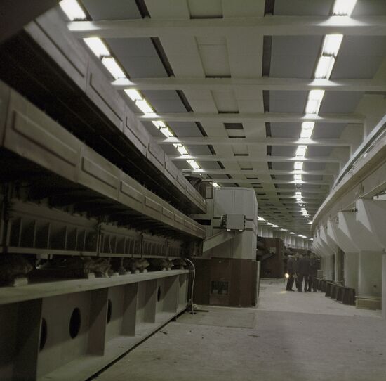 Institute for High Energy Physics