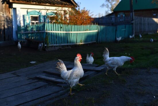 Russia Autumn
