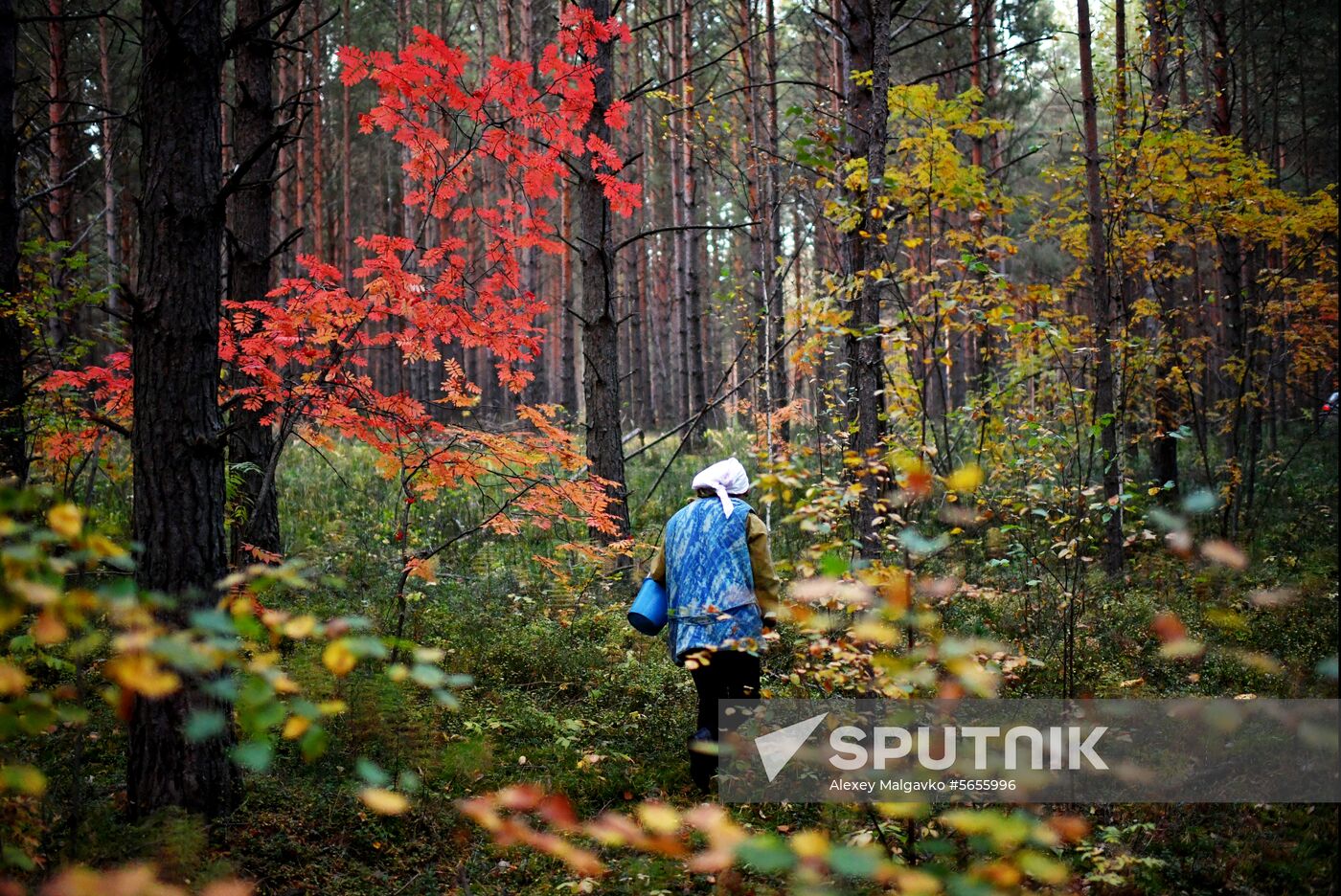 Russia Autumn
