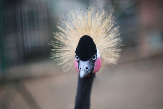 Wild animal refuge center