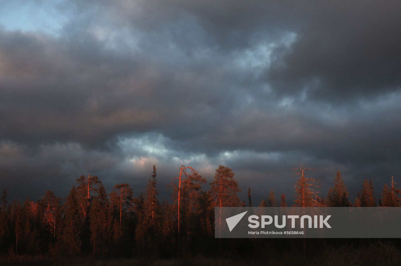Russia Towns Onega