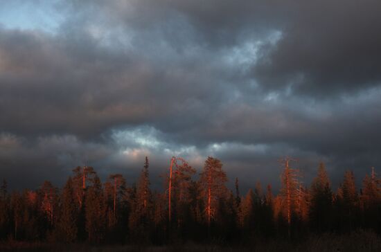 Russia Towns Onega