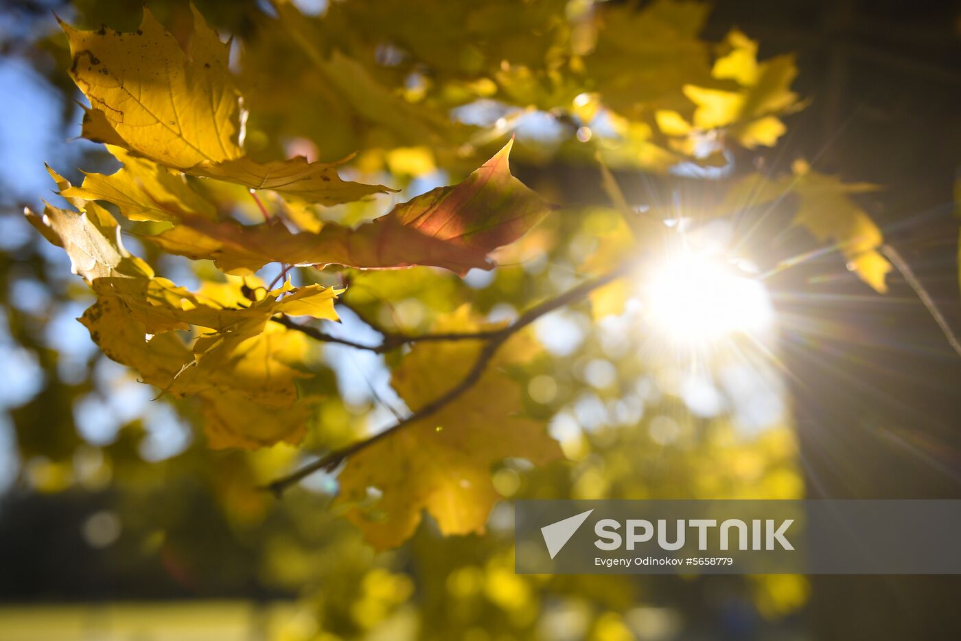 Russia Autumn