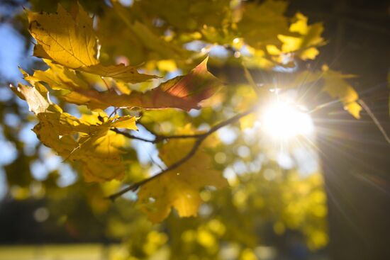 Russia Autumn