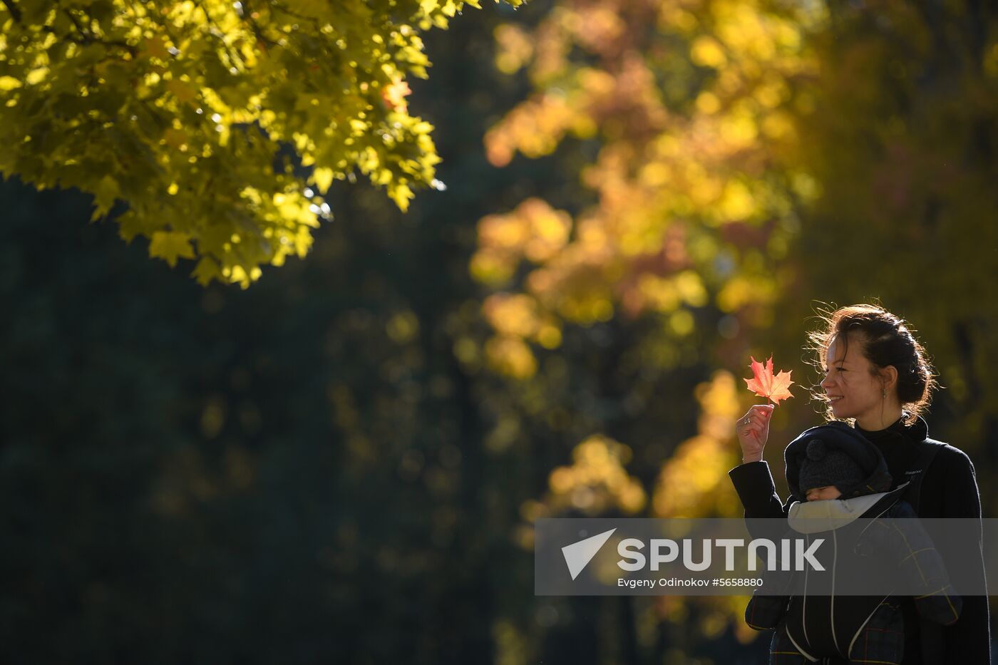 Russia Autumn