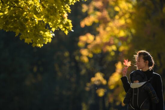 Russia Autumn