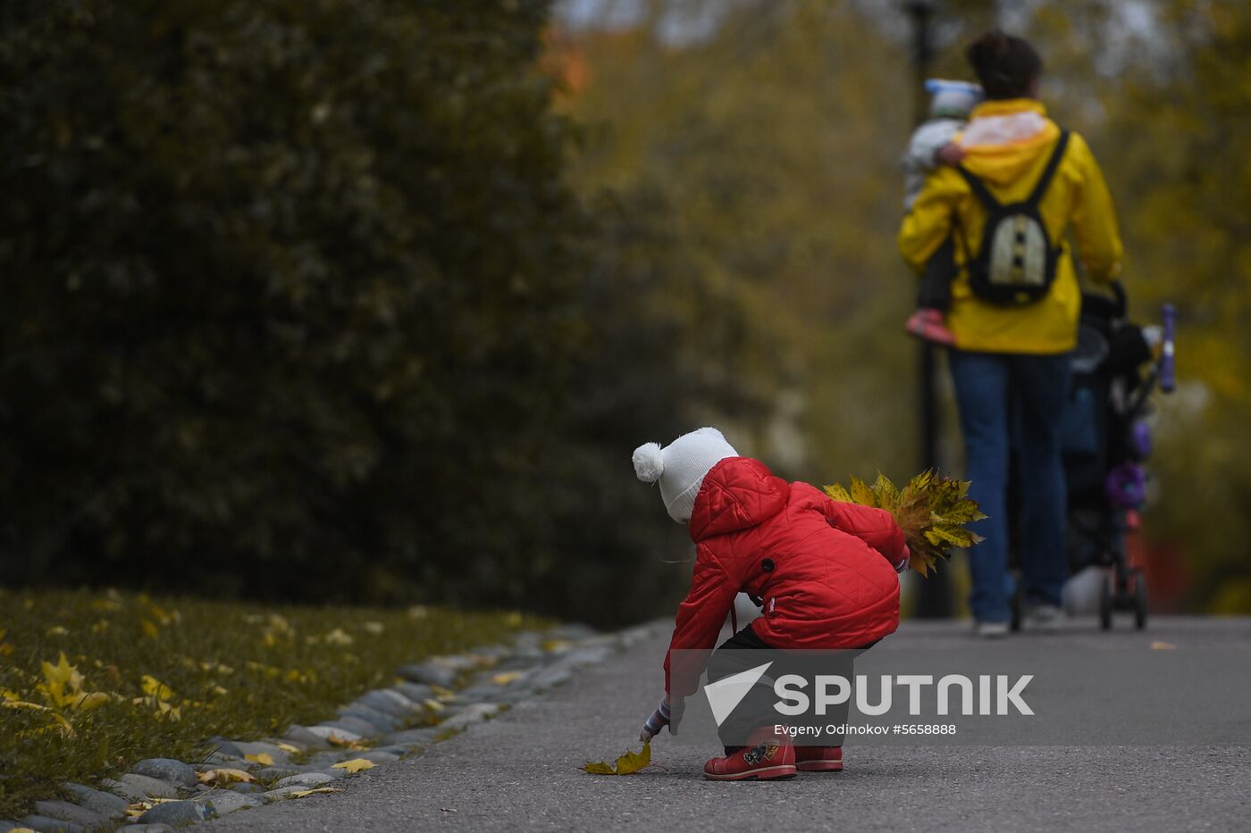 Russia Autumn