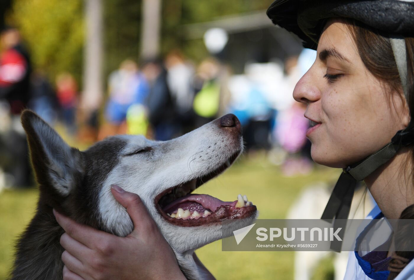 Russia Dog Mushing 