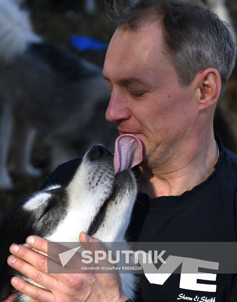 Russia Dog Mushing