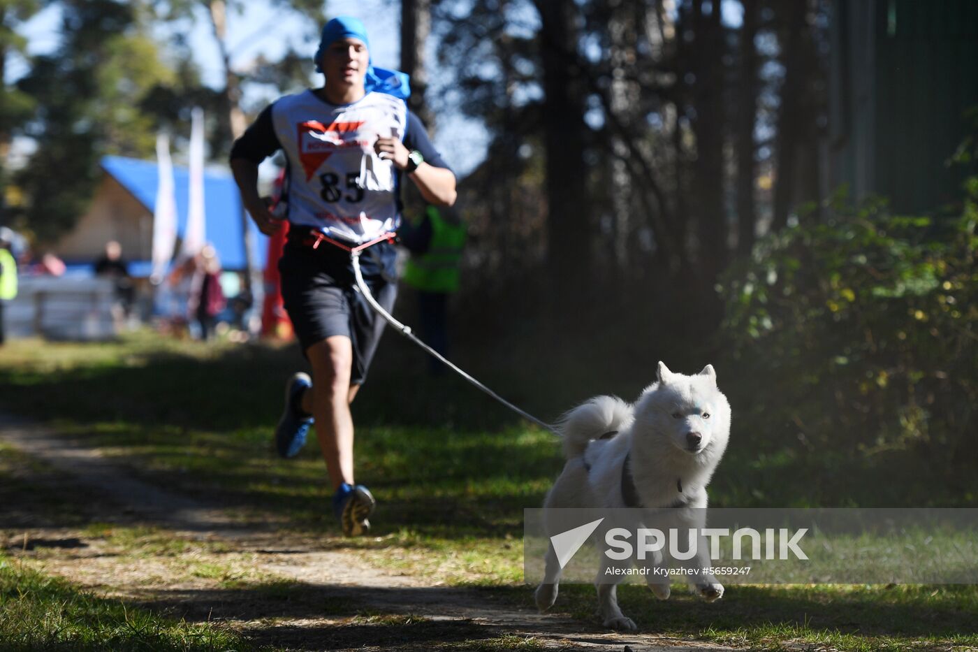 Russia Dog Mushing 