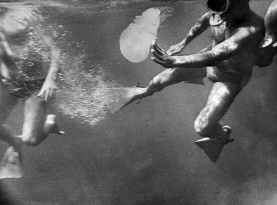 Diver