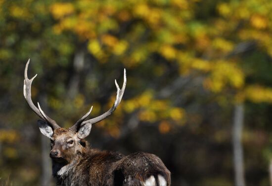 Russia National Park