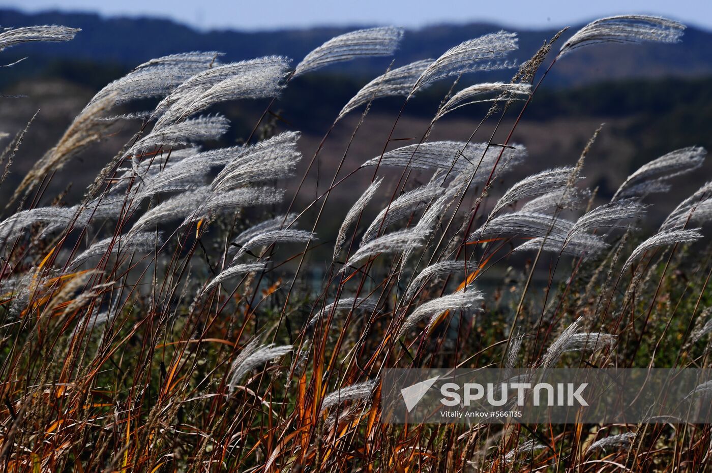Russia National Park