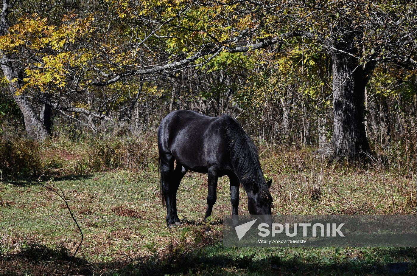 Russia National Park