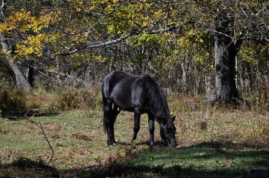 Russia National Park
