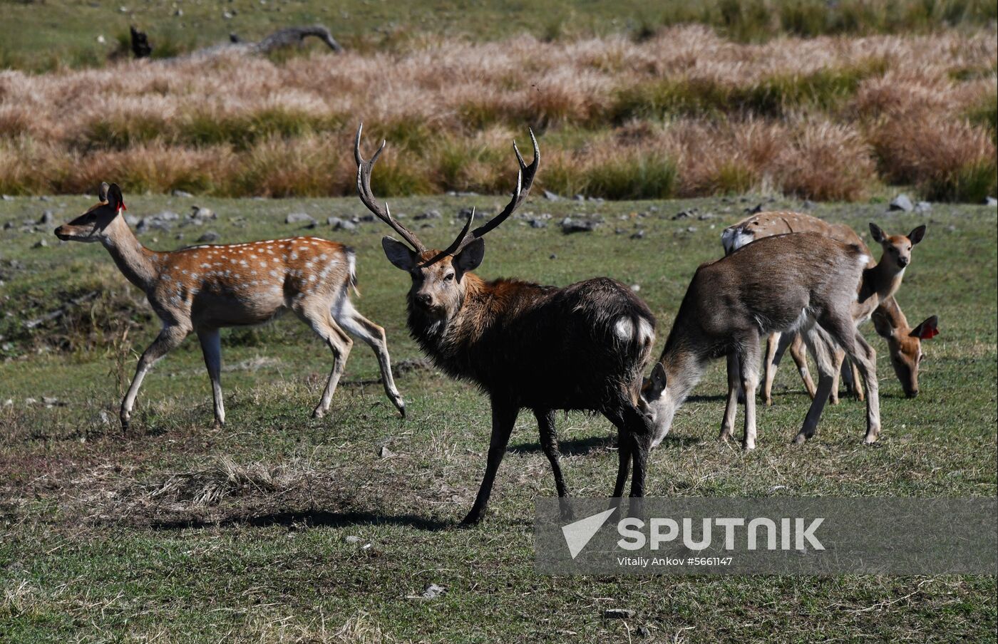 Russia National Park