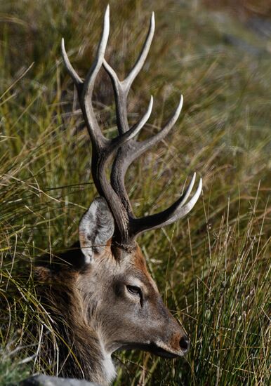 Russia National Park