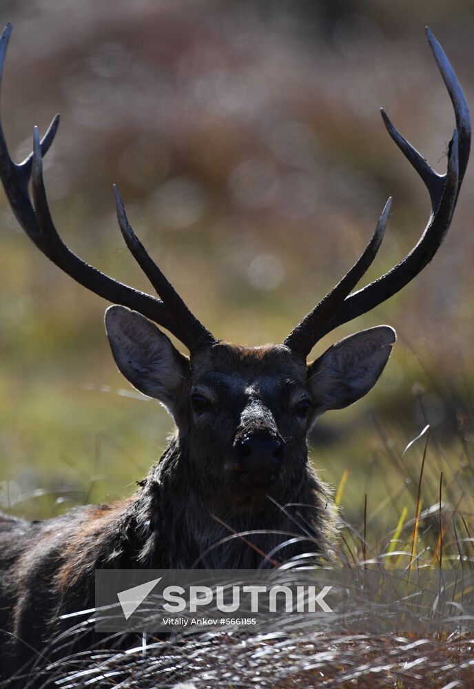 Russia National Park
