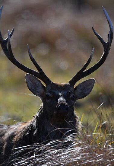 Russia National Park