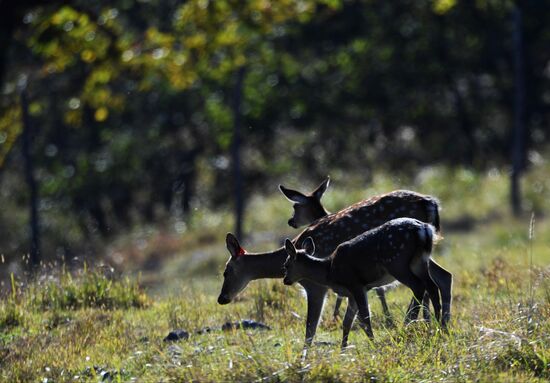 Russia National Park