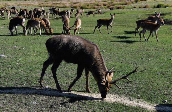 Russia National Park