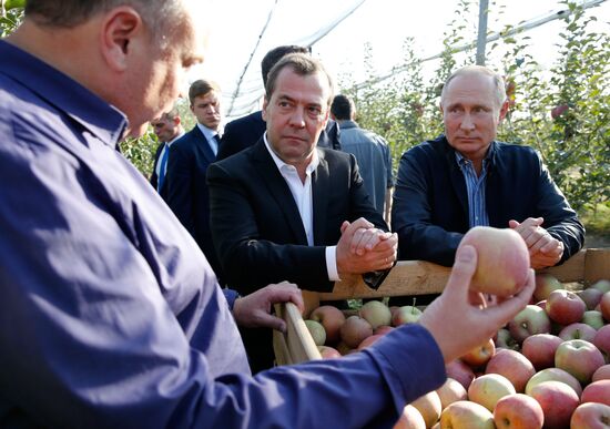 Russian President Vladimir Putin and Prime Minister Dmitry Medvedev's working trip to Stavropol Territory