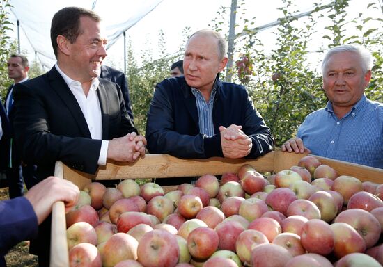 Russian President Vladimir Putin and Prime Minister Dmitry Medvedev's working trip to Stavropol Territory