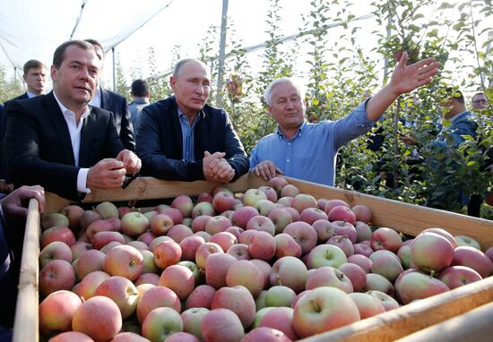 Russian President Vladimir Putin and Prime Minister Dmitry Medvedev's working trip to Stavropol Territory