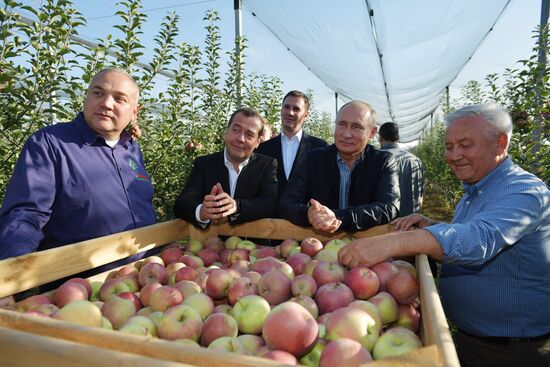 Russian President Vladimir Putin and Prime Minister Dmitry Medvedev's working trip to Stavropol Territory