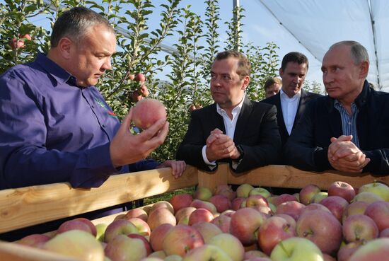 Russian President Vladimir Putin and Prime Minister Dmitry Medvedev's working trip to Stavropol Territory