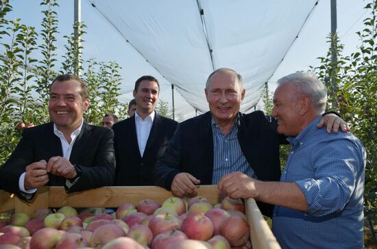 Russian President Vladimir Putin and Prime Minister Dmitry Medvedev's working trip to Stavropol Territory