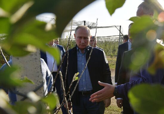 Russian President Vladimir Putin and Prime Minister Dmitry Medvedev's working trip to Stavropol Territory