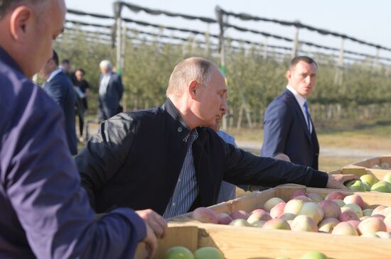 Russian President Vladimir Putin and Prime Minister Dmitry Medvedev's working trip to Stavropol Territory