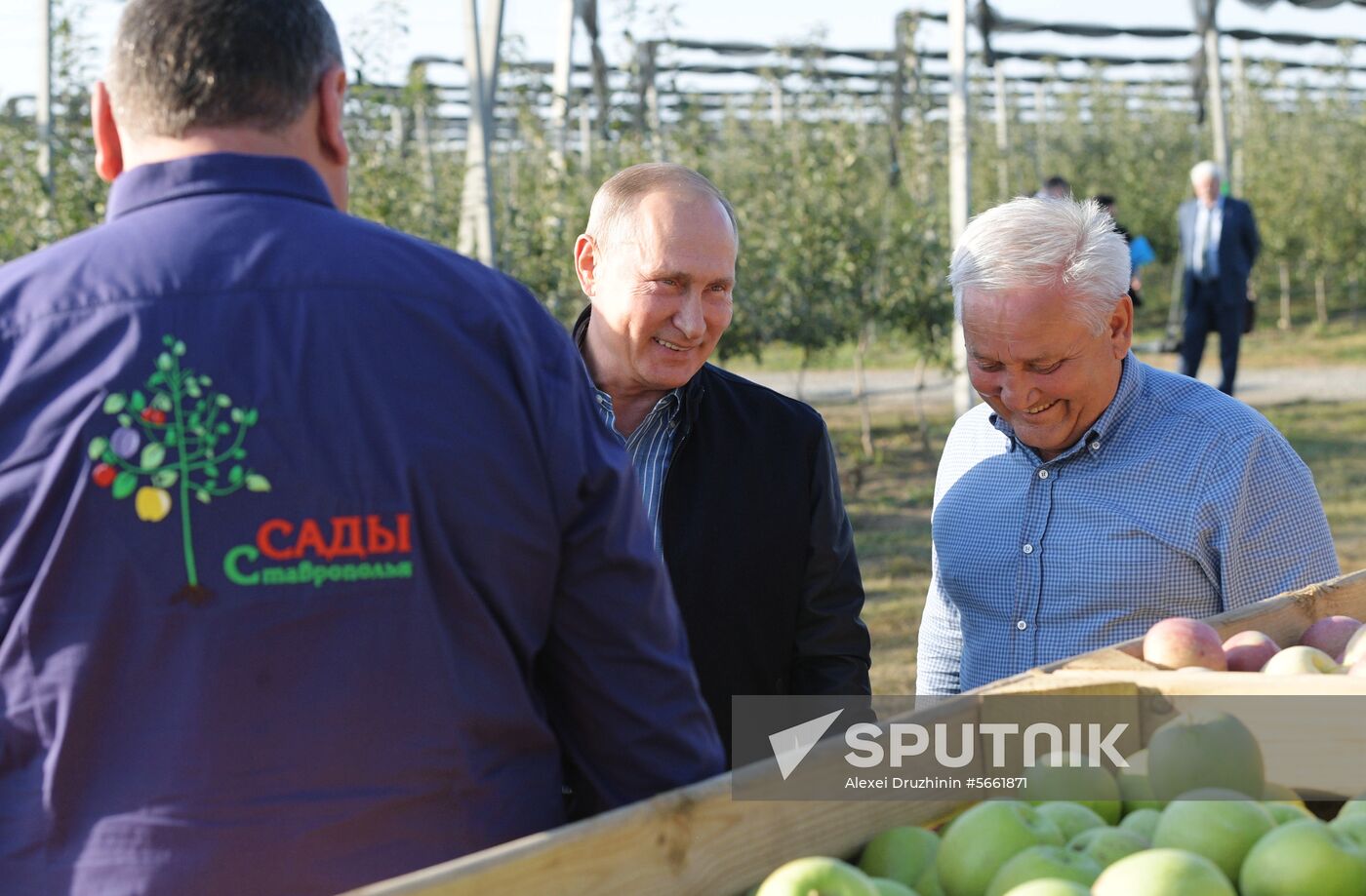 Russian President Vladimir Putin and Prime Minister Dmitry Medvedev's working trip to Stavropol Territory