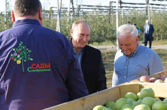 Russian President Vladimir Putin and Prime Minister Dmitry Medvedev's working trip to Stavropol Territory
