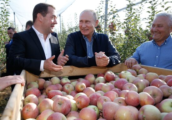 Russian President Vladimir Putin and Prime Minister Dmitry Medvedev's working trip to Stavropol Territory