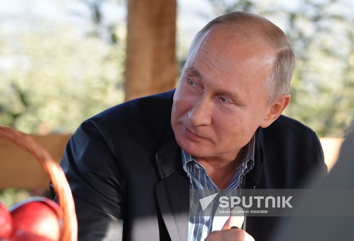 Russian President Vladimir Putin and Prime Minister Dmitry Medvedev's working trip to Stavropol Territory