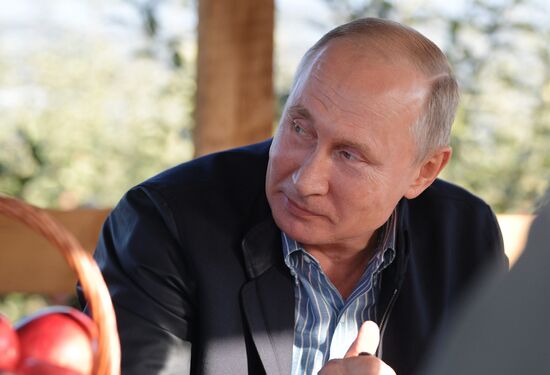 Russian President Vladimir Putin and Prime Minister Dmitry Medvedev's working trip to Stavropol Territory