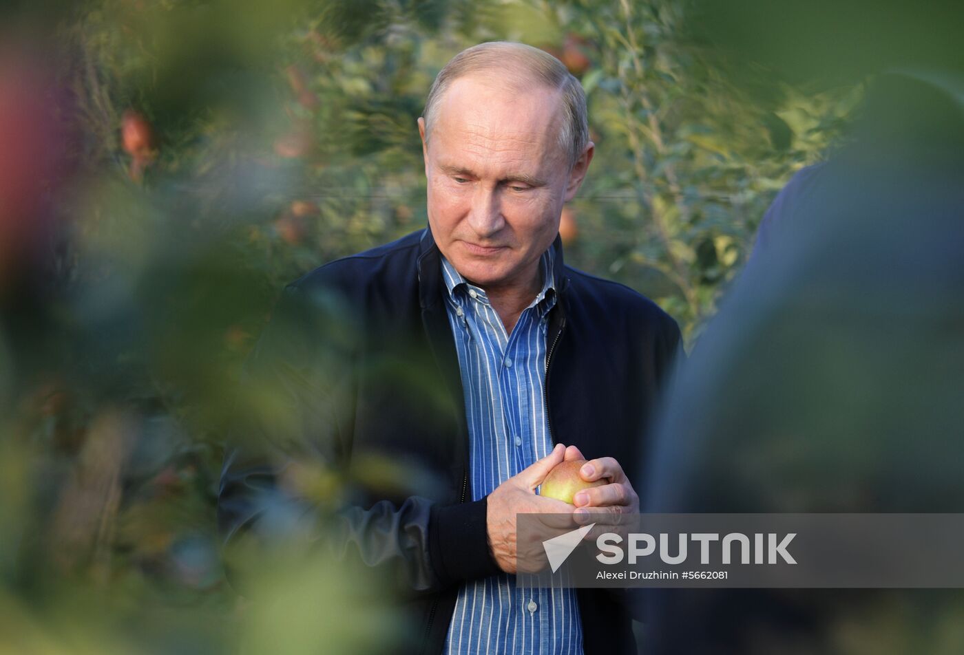 Russian President Vladimir Putin and Prime Minister Dmitry Medvedev's working trip to Stavropol Territory