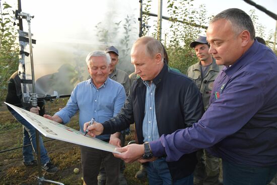 Russian President Vladimir Putin and Prime Minister Dmitry Medvedev's working trip to Stavropol Territory