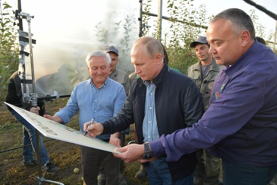 Russian President Vladimir Putin and Prime Minister Dmitry Medvedev's working trip to Stavropol Territory