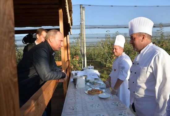 Russian President Vladimir Putin and Prime Minister Dmitry Medvedev's working trip to Stavropol Territory